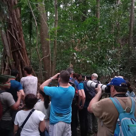Tangkoko Backpacker Home Stay Rinondoran Екстер'єр фото
