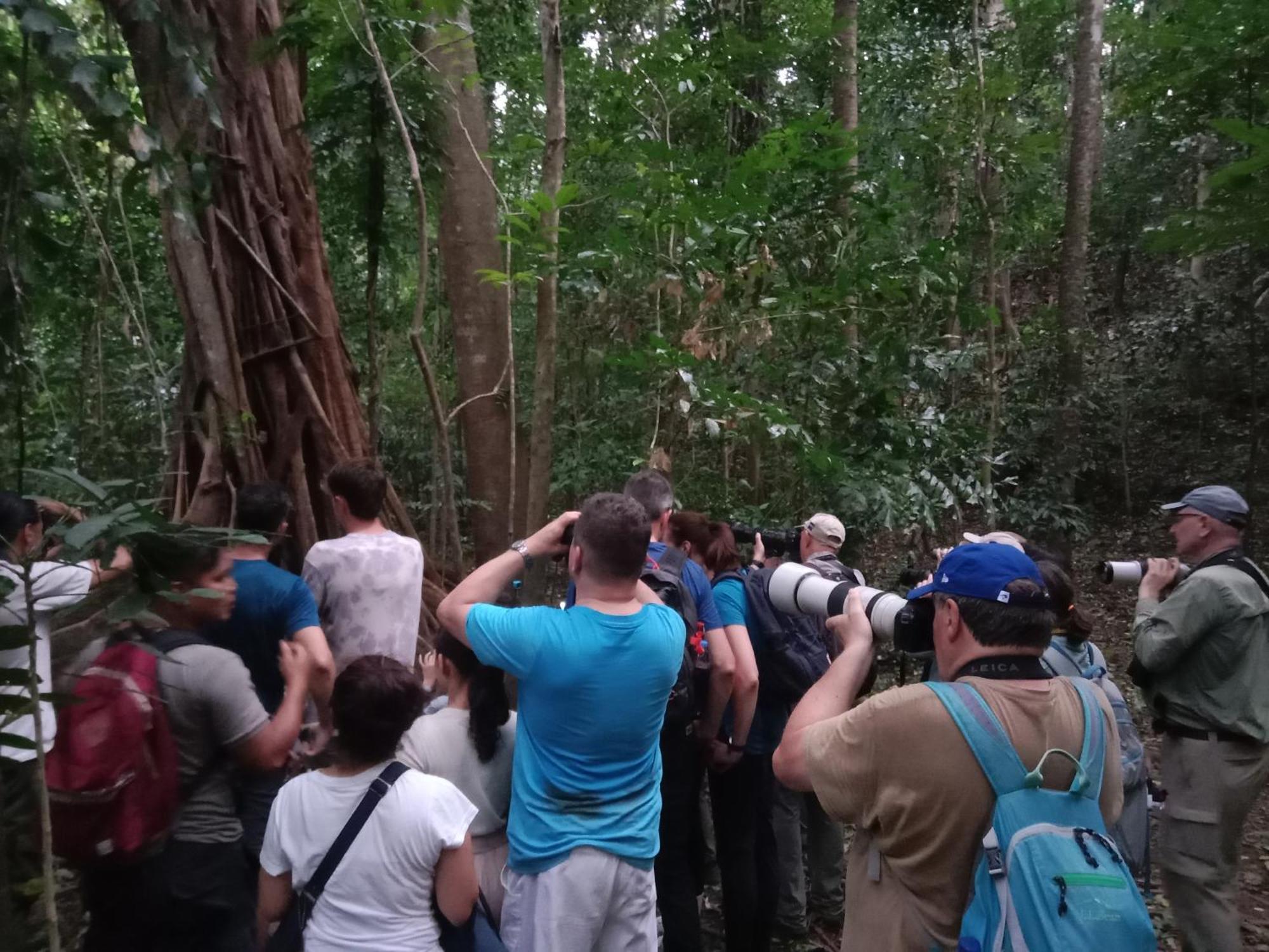 Tangkoko Backpacker Home Stay Rinondoran Екстер'єр фото