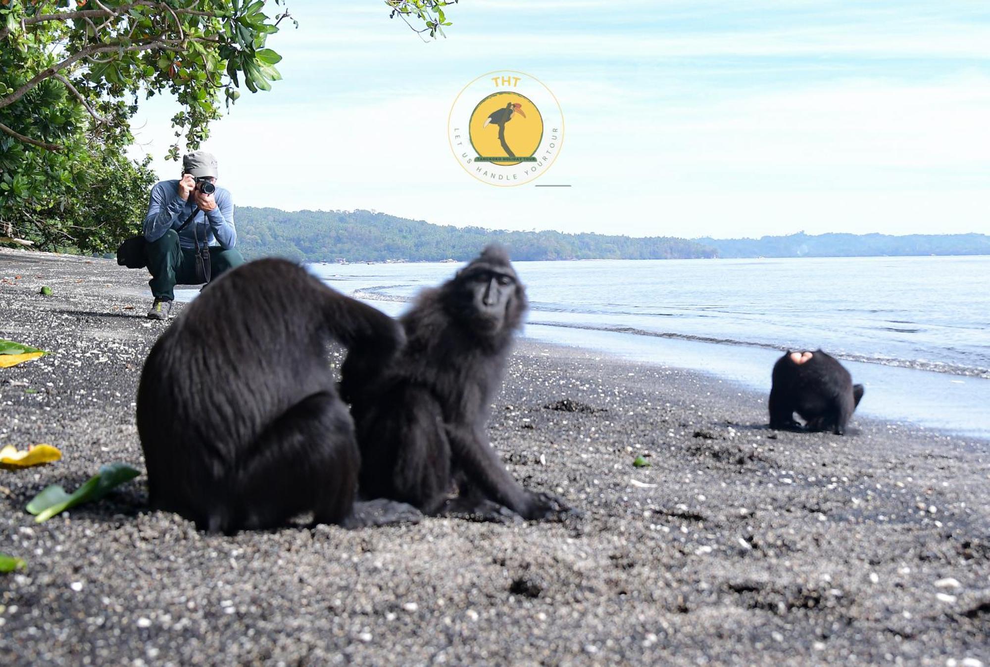 Tangkoko Backpacker Home Stay Rinondoran Екстер'єр фото